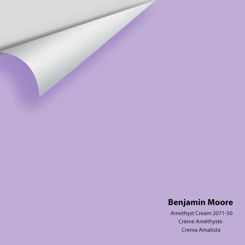 Big Paint Chip - Amethyst Cream 2071-50