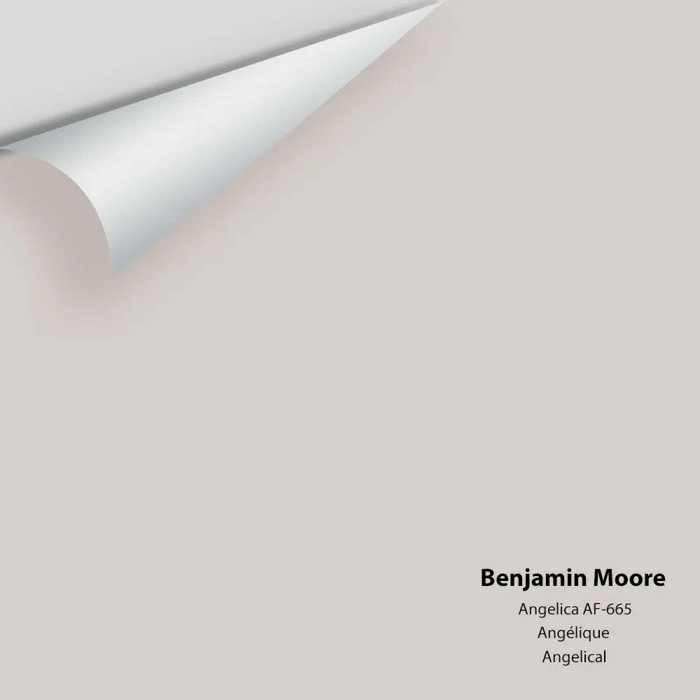 Benjamin Moore - Angelica AF-665 Colour Sample