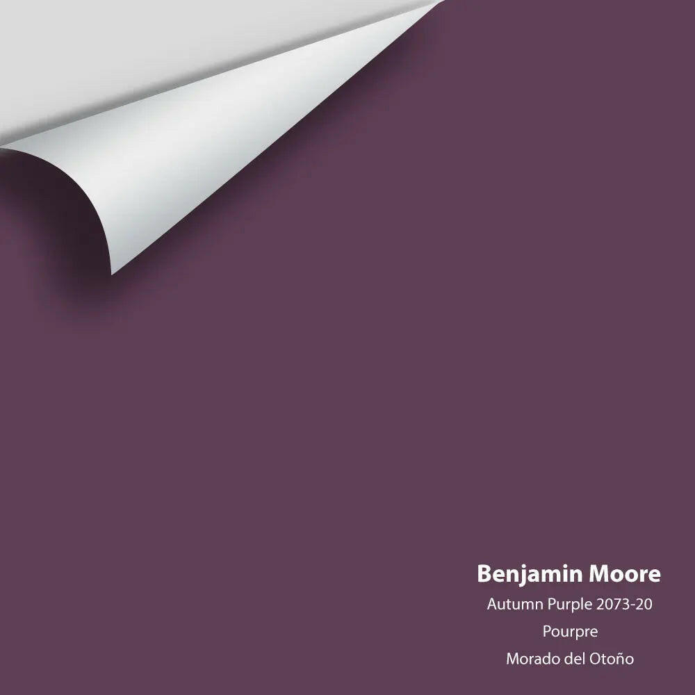 Big Paint Chip - Autumn Purple 2073-20