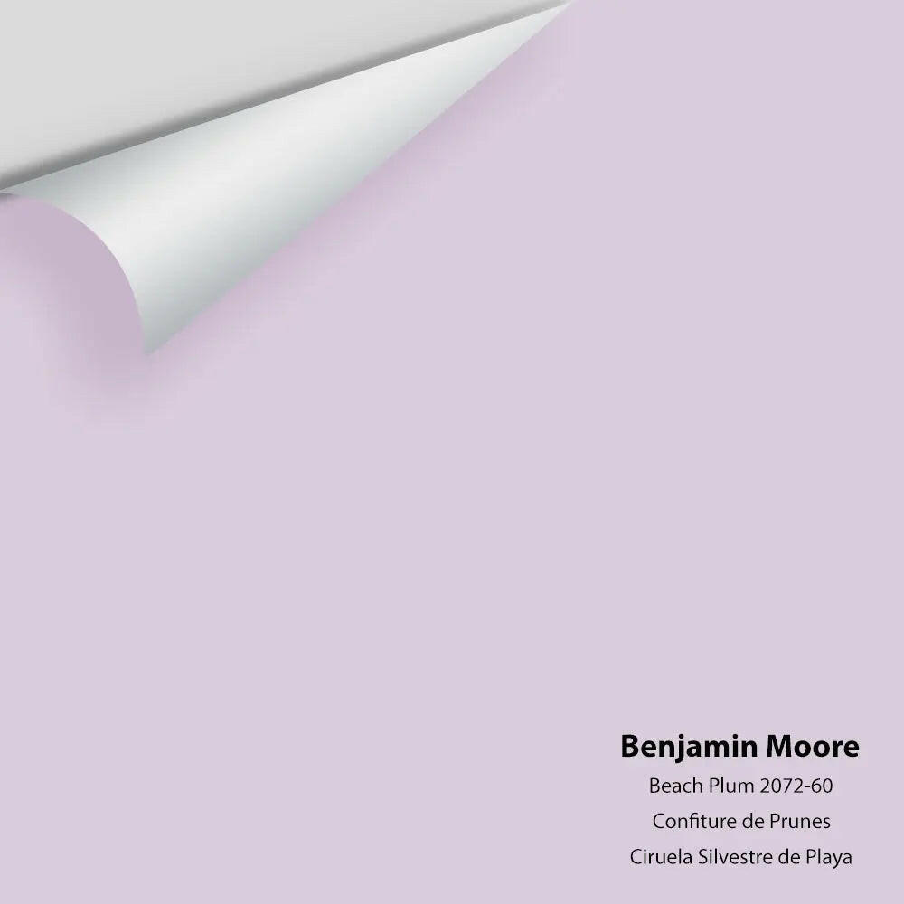 Big Paint Chip - Beach Plum 2072-60