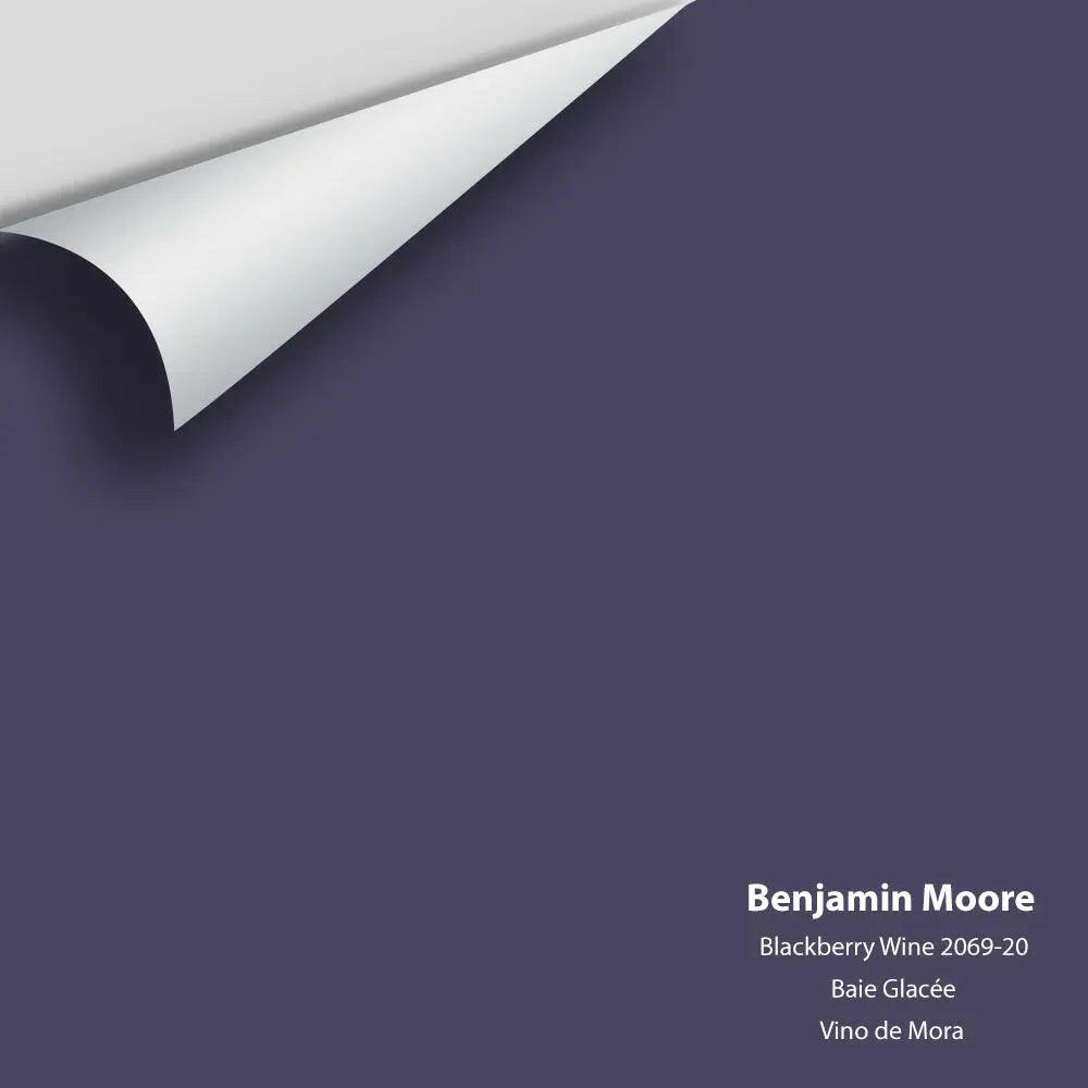 Big Paint Chip - Blackberry Wine 2069-20