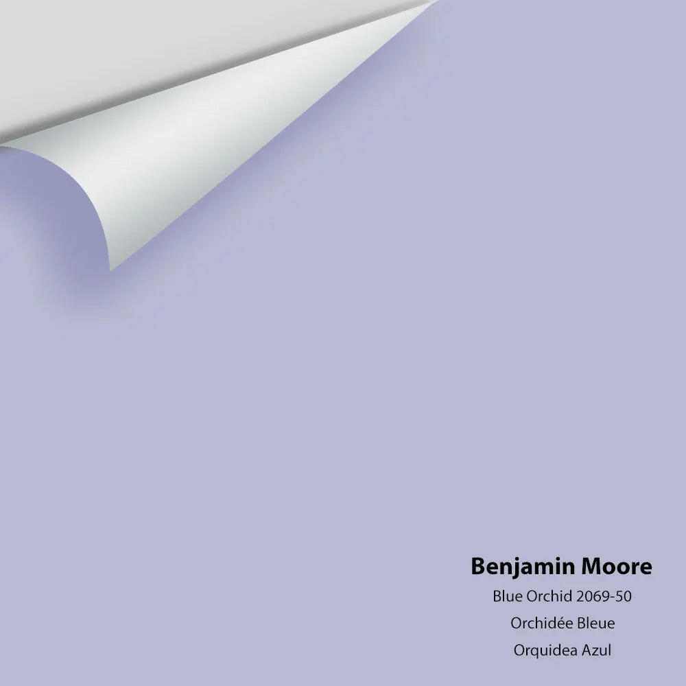 Big Paint Chip - Blue Orchid 2069-50
