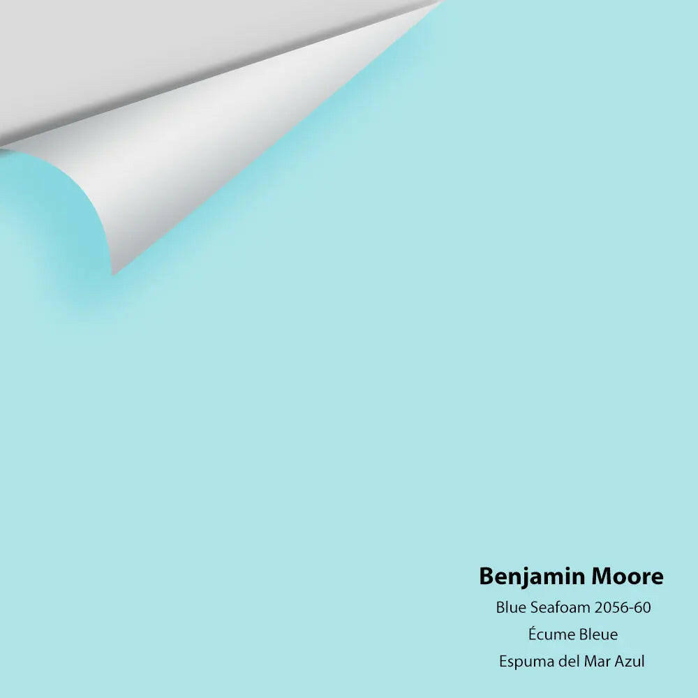 Big Paint Chip - Blue Seafoam 2056-60