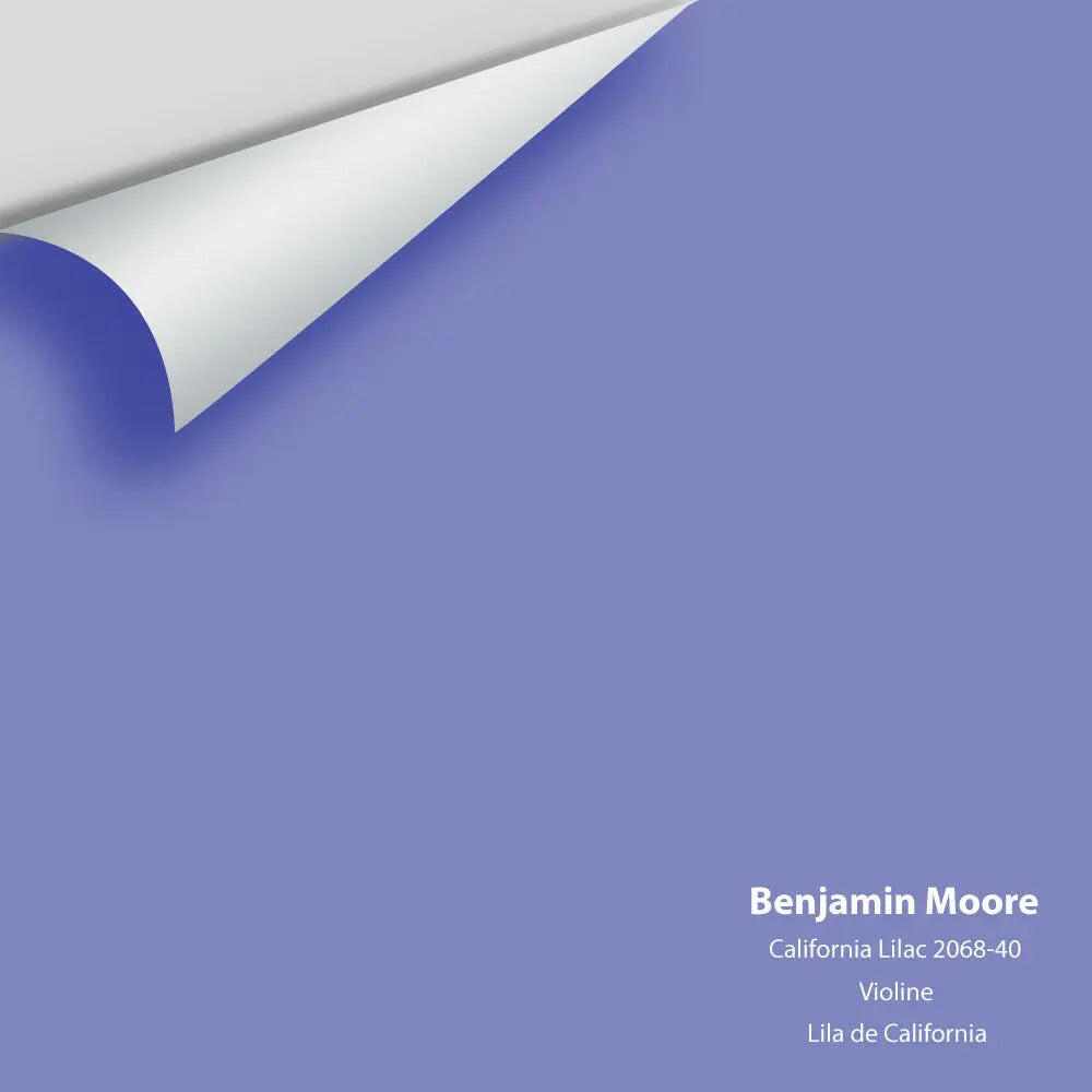 Big Paint Chip - California Lilac 2068-40
