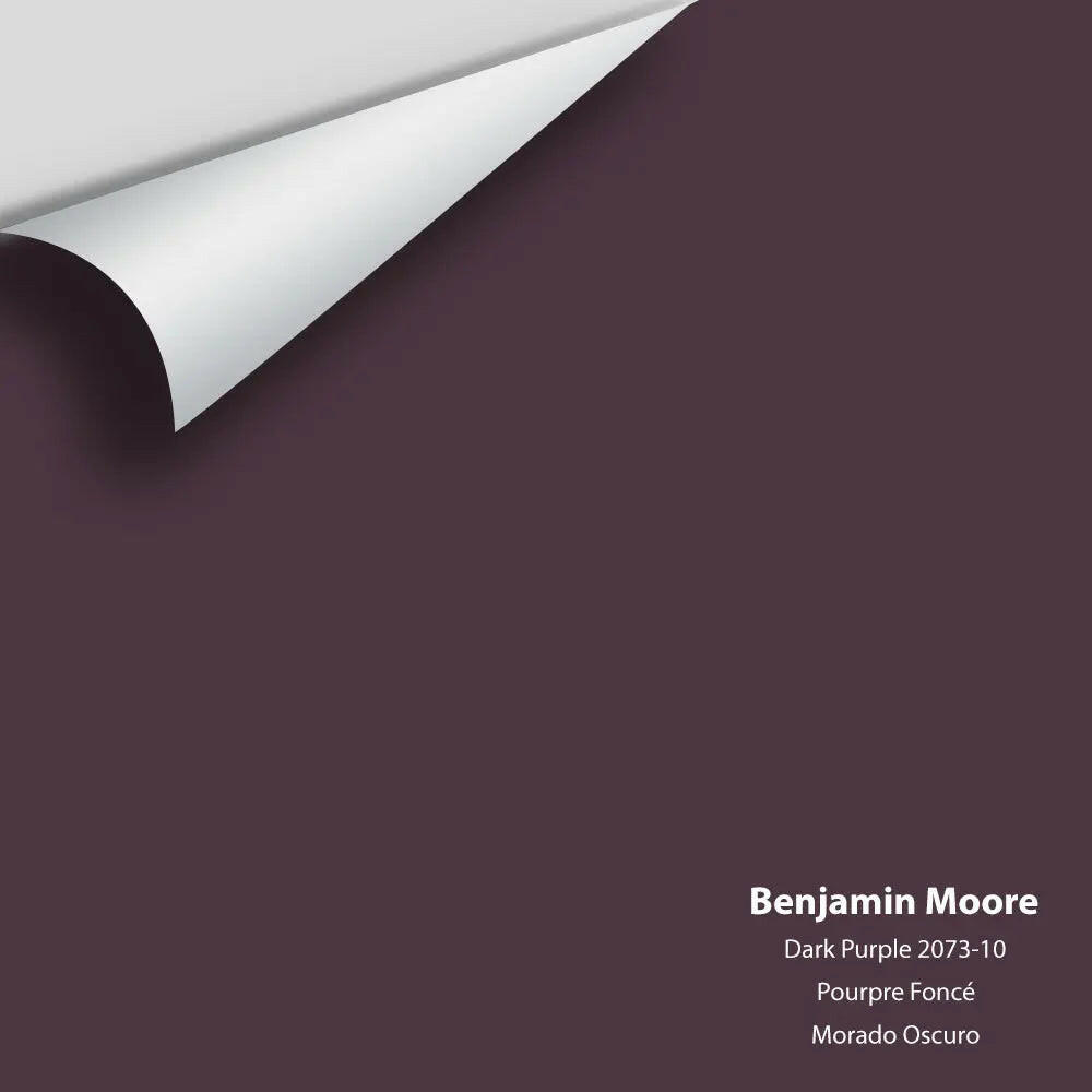 Big Paint Chip - Dark Purple 2073-10