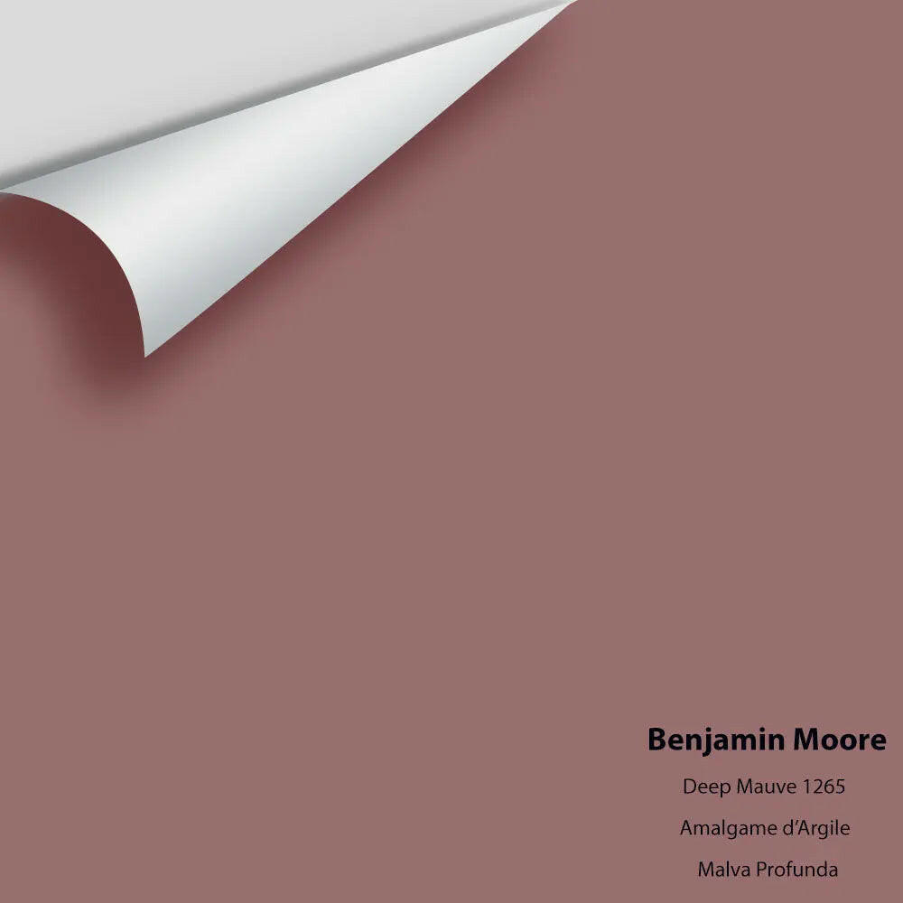 Big Paint Chip - Deep Mauve 1265
