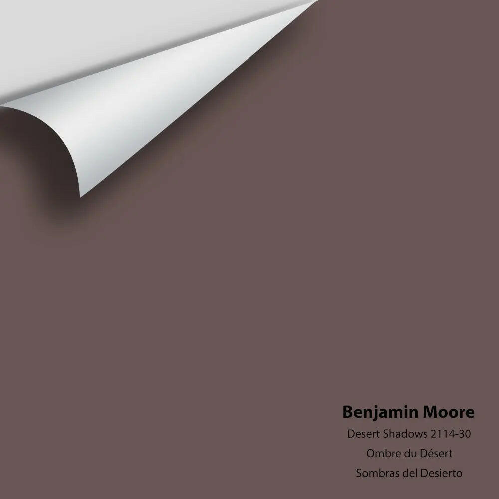 Big Paint Chip - Desert Shadows 2114-30