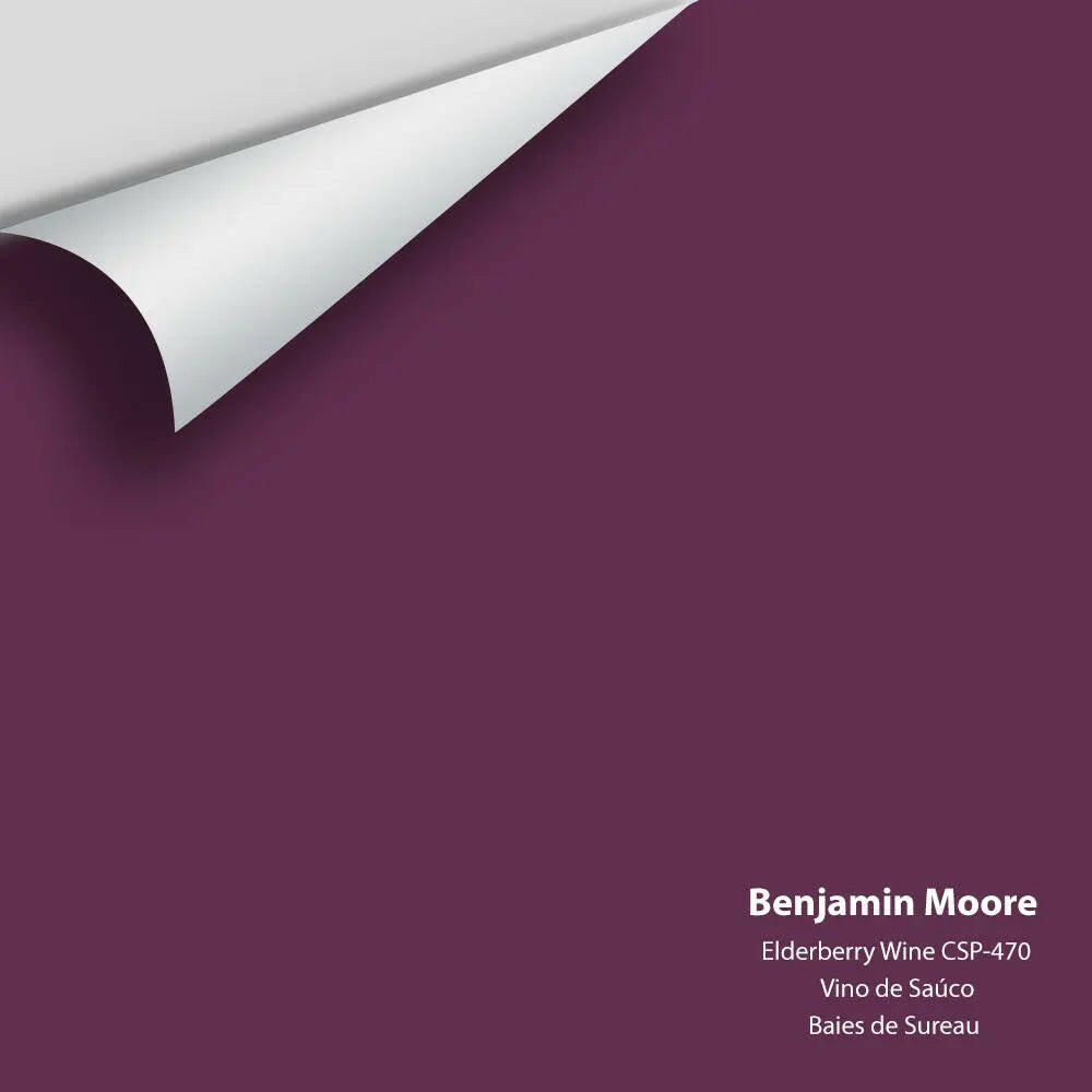Big Paint Chip - Elderberry Wine CSP-470