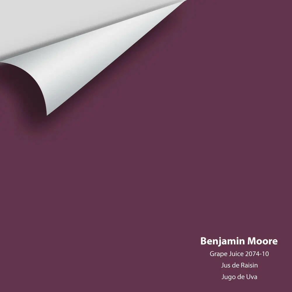 Big Paint Chip - Grape Juice 2074-10