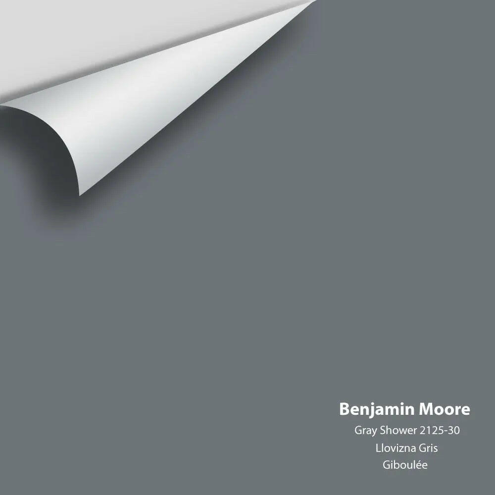 Benjamin Moore - Gray Shower 2125-30 Colour Sample
