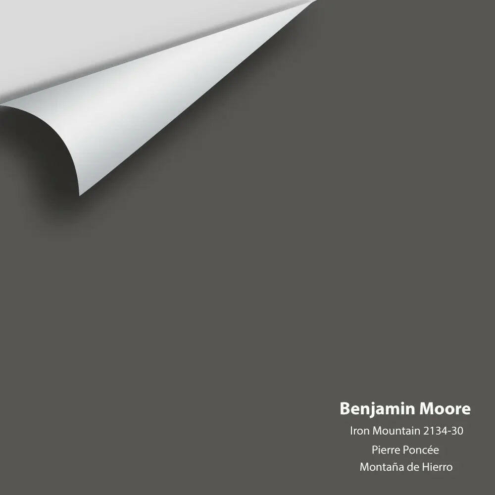 Benjamin Moore - Iron Mountain 2134-30 Colour Sample