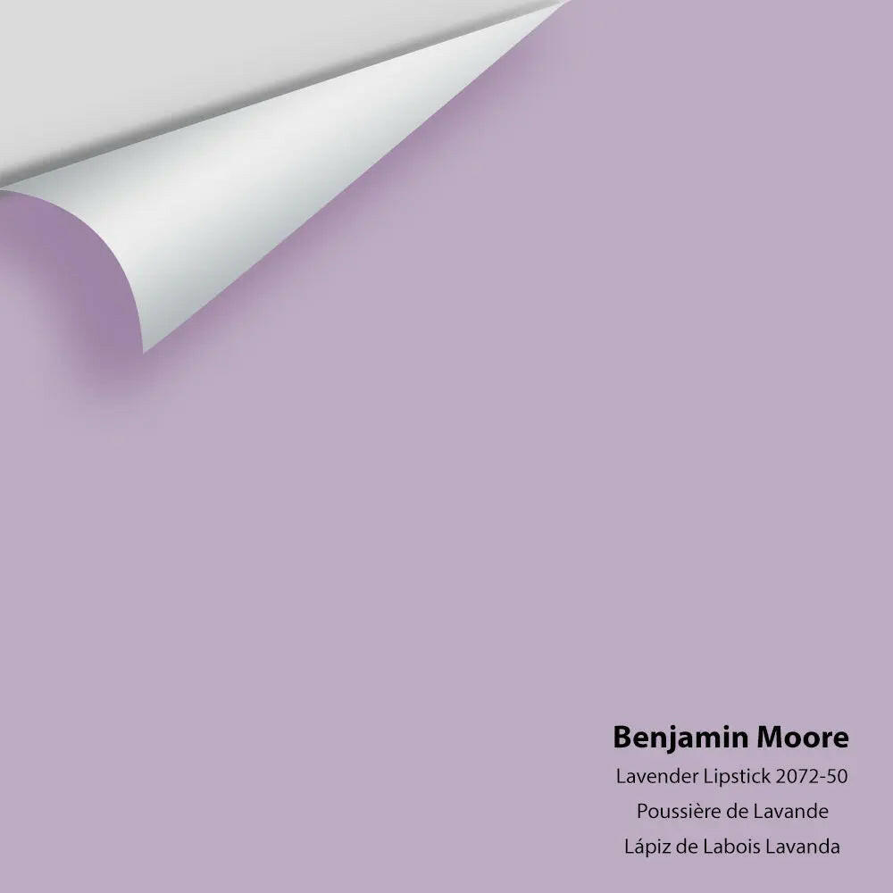 Big Paint Chip - Lavender Lipstick 2072-50