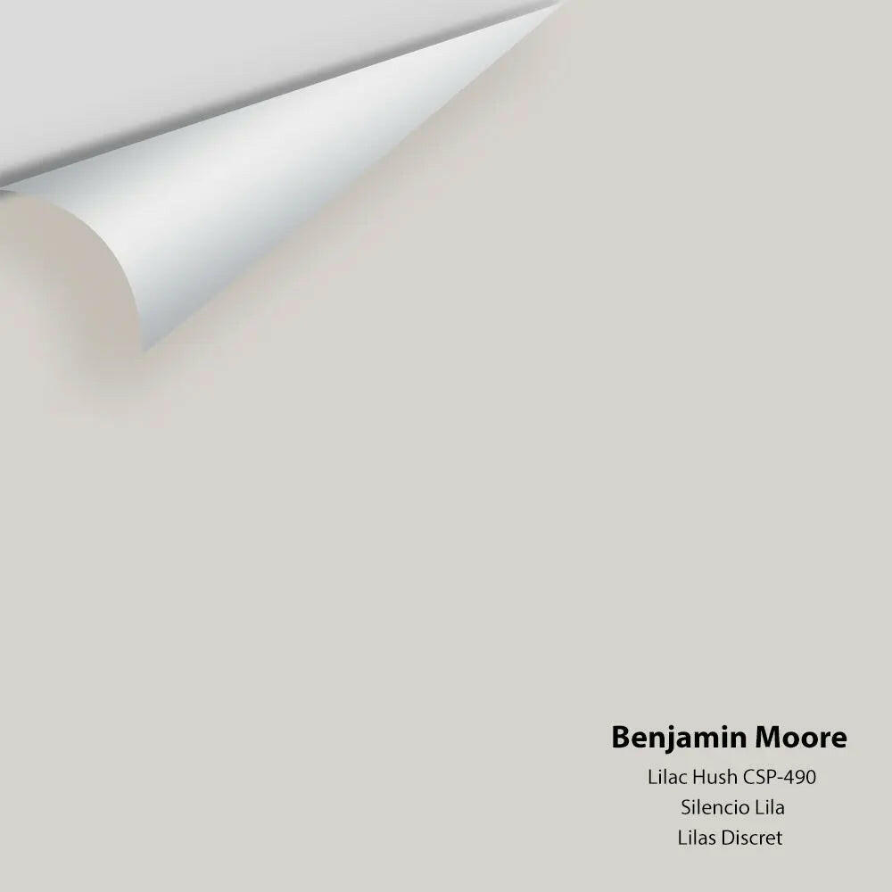 Benjamin Moore - Lilac Hush CSP-490 Colour Sample