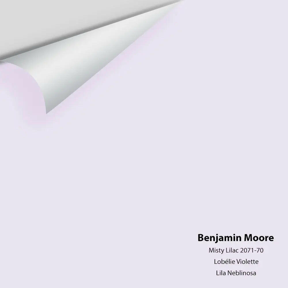 Big Paint Chip - Misty Lilac 2071-70