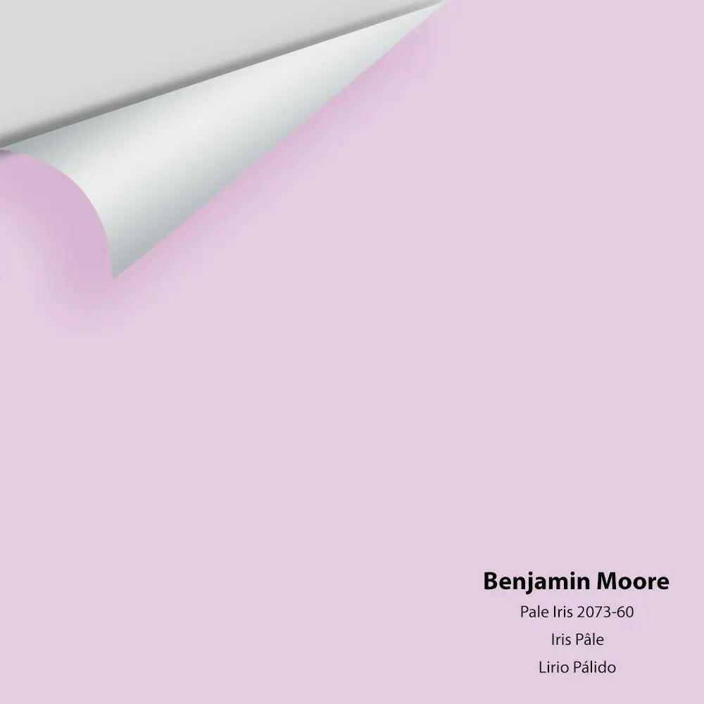 Big Paint Chip - Pale Iris 2073-60
