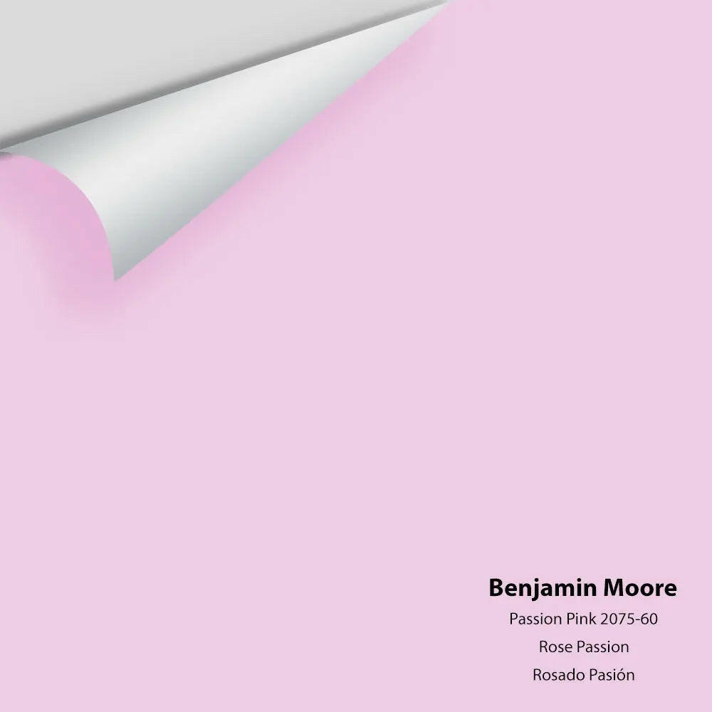 Big Paint Chip - Passion Pink 2075-60