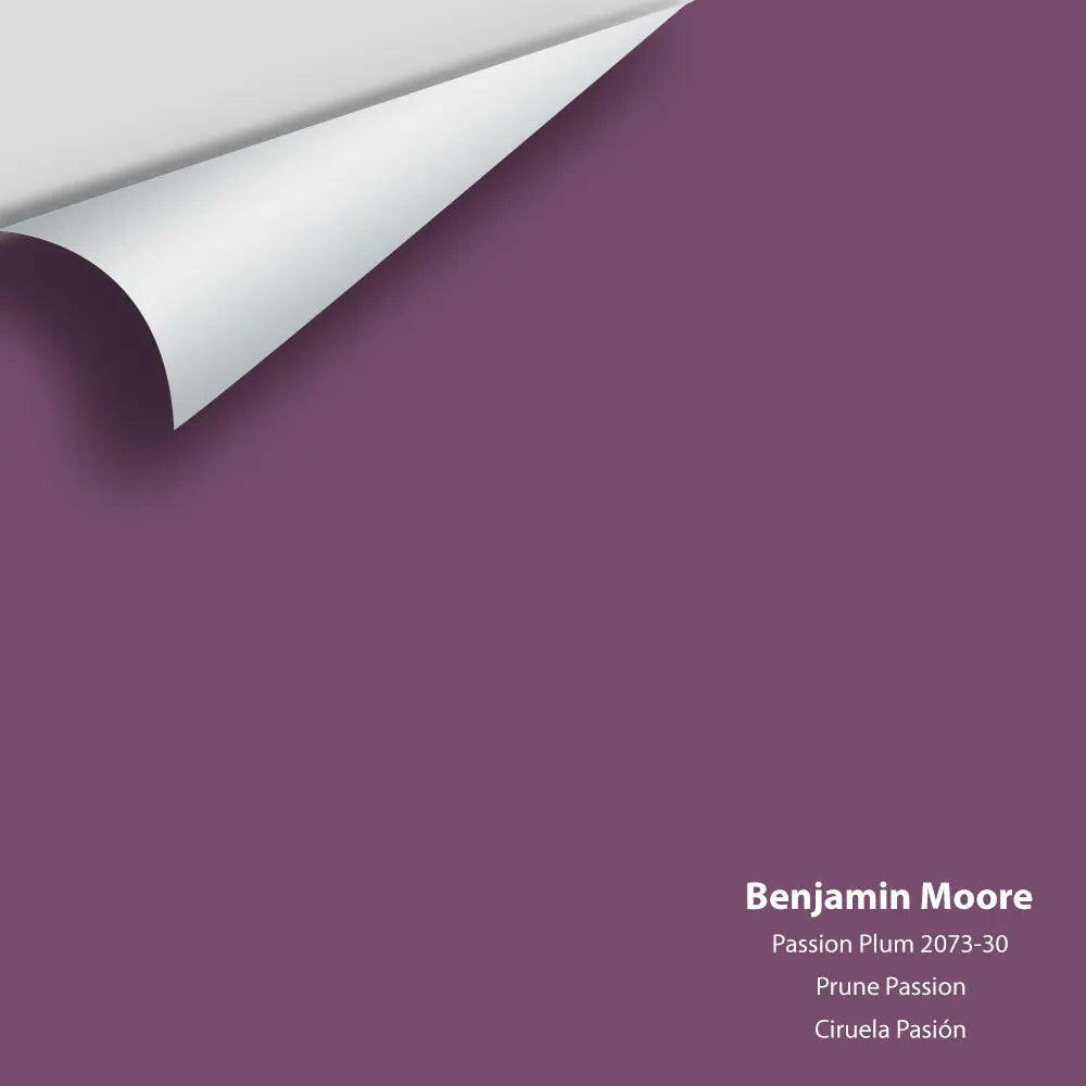 Big Paint Chip - Passion Plum 2073-30