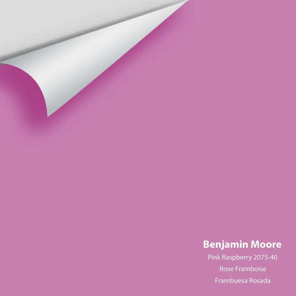Big Paint Chip - Pink Raspberry 2075-40