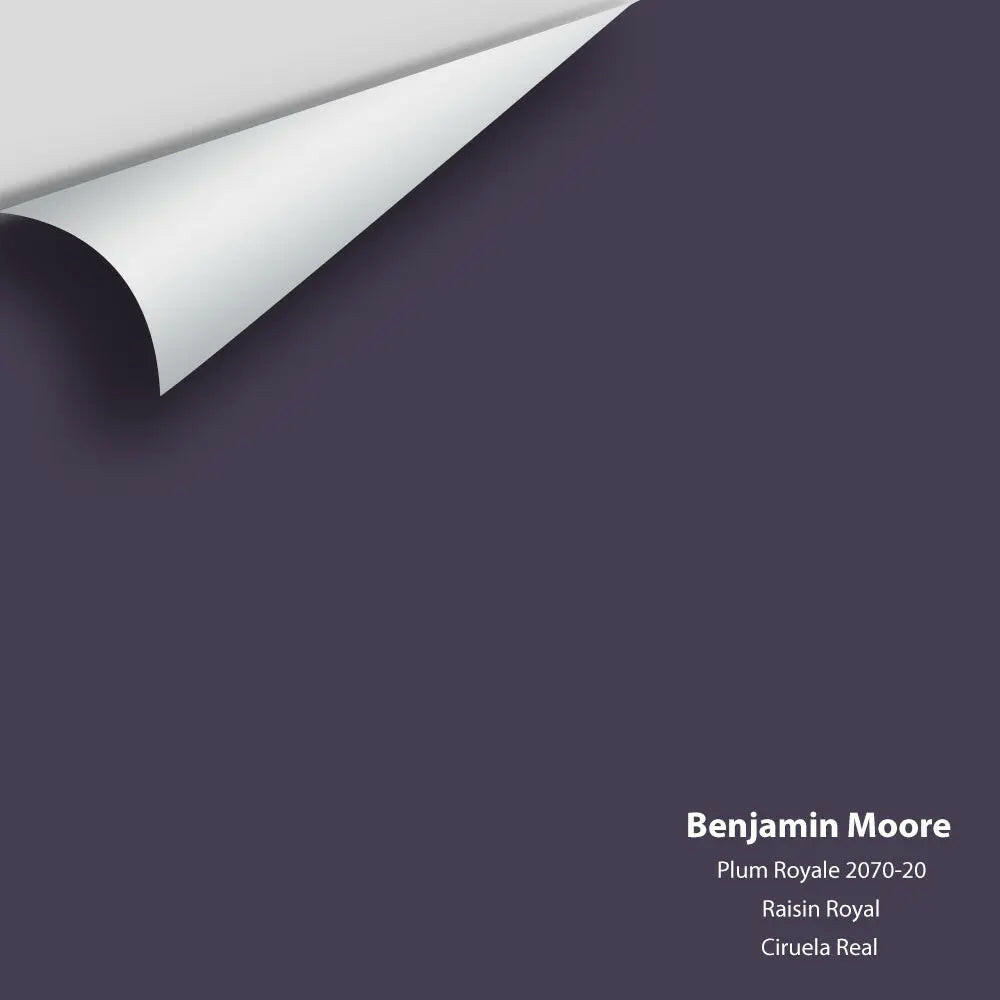 Big Paint Chip - Plum Royale 2070-20