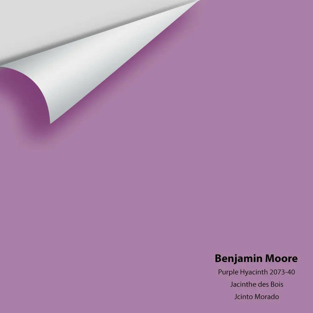Big Paint Chip - Purple Hyacinth 2073-40