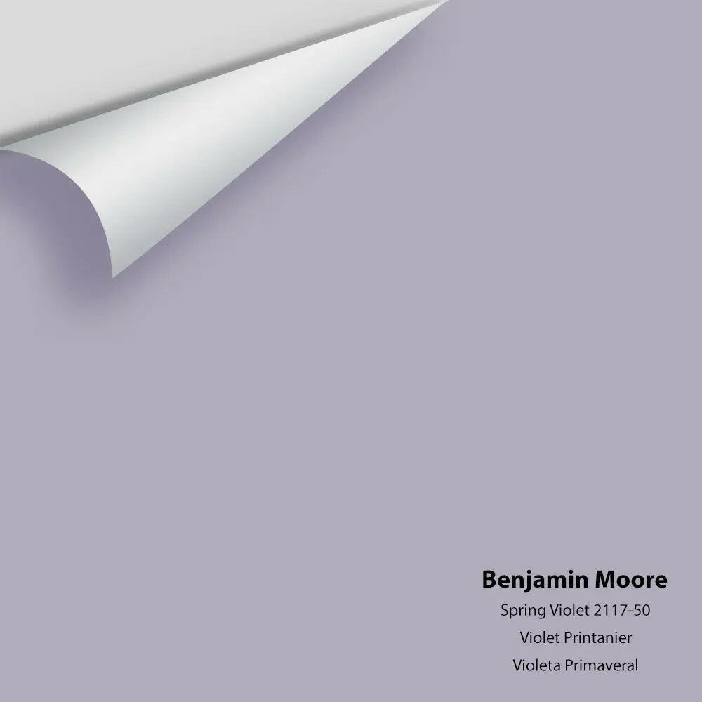 Big Paint Chip - Spring Violet 2117-50