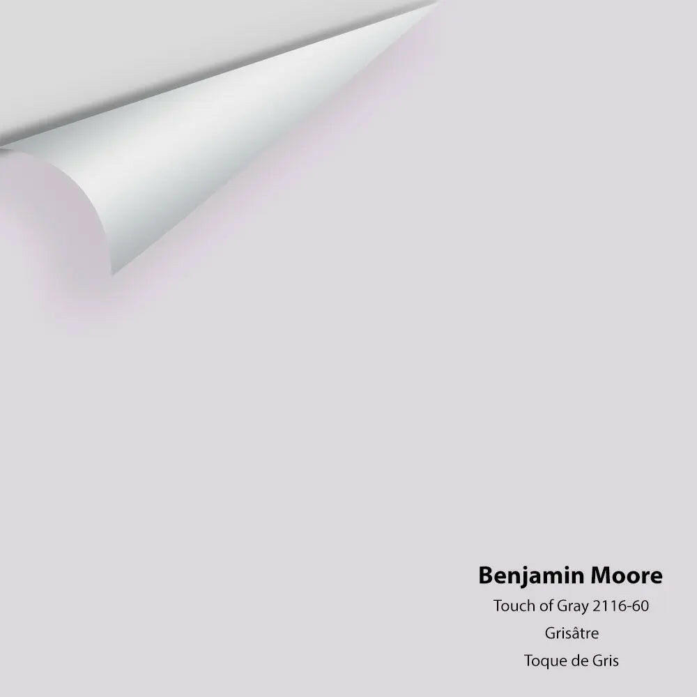 Big Paint Chip - Touch of Gray 2116-60