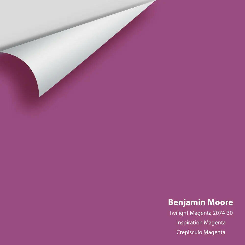 Big Paint Chip - Twilight Magenta 2074-30