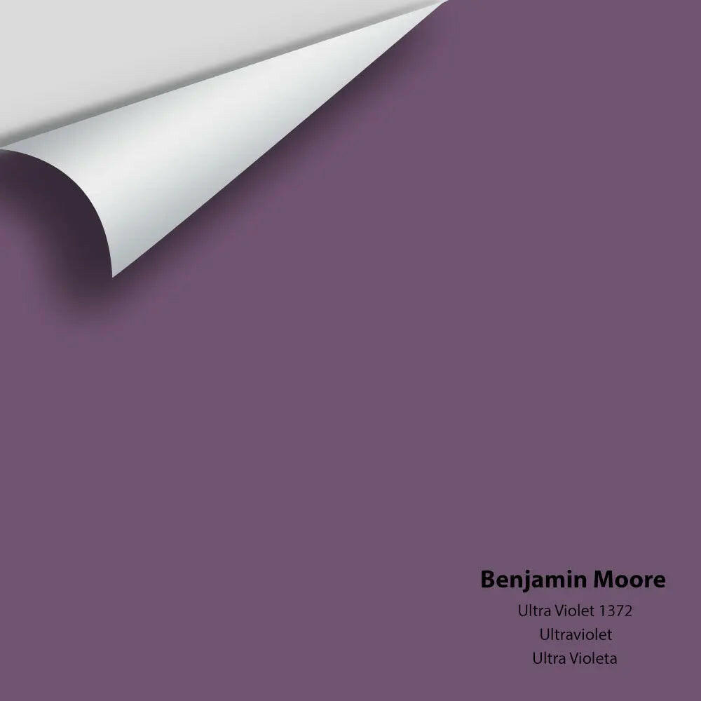 Big Paint Chip - Ultra Violet 1372