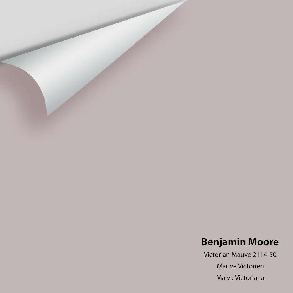 Big Paint Chip - Victorian Mauve 2114-50