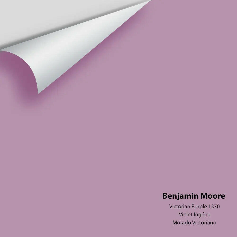 Big Paint Chip - Victorian Purple 1370