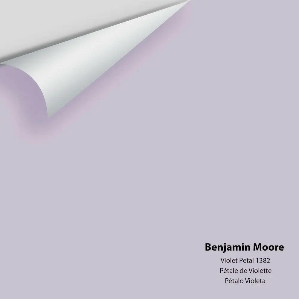 Big Paint Chip - Violet Petal 1382
