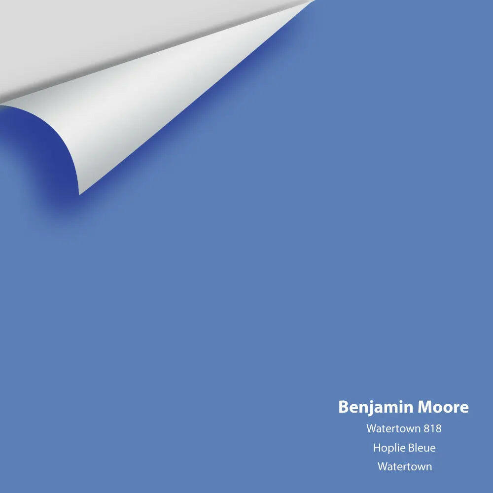 Benjamin Moore - Watertown 818 Colour Sample