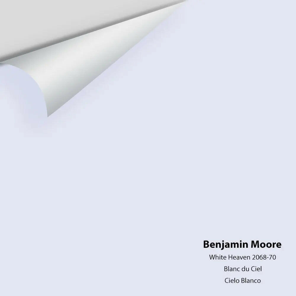 Big Paint Chip - White Heaven 2068-70