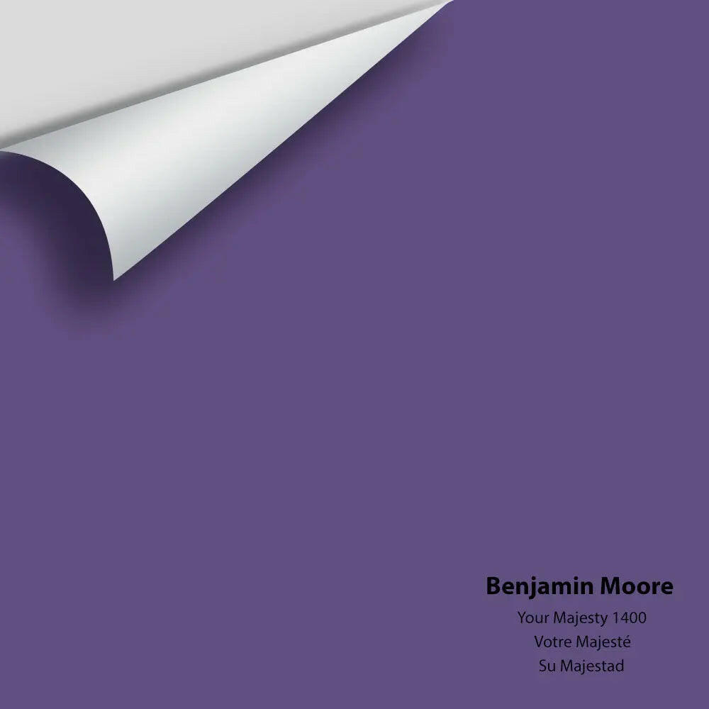 Big Paint Chip - Your Majesty 1400