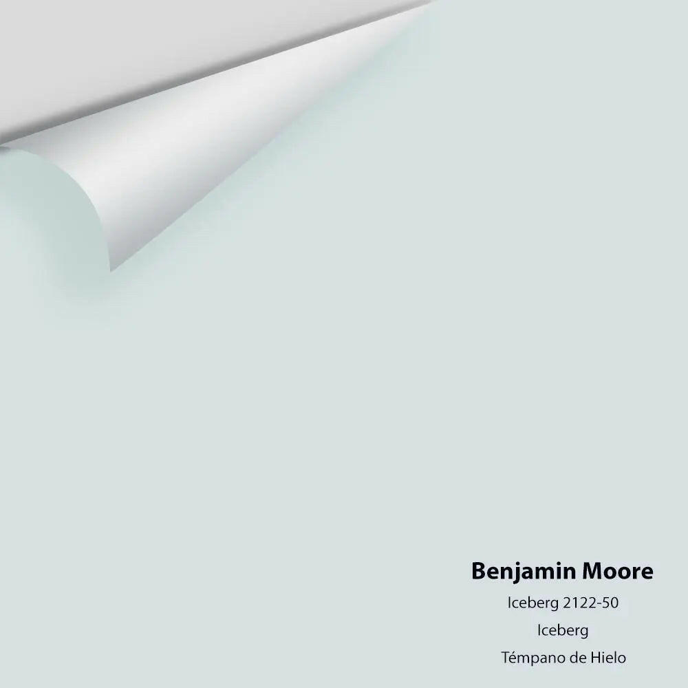 Benjamin Moore - Iceberg 2122-50 Colour Sample