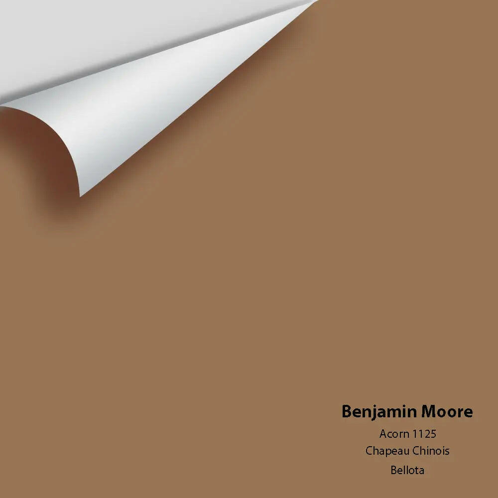 Big Paint Chip - Acorn 1125