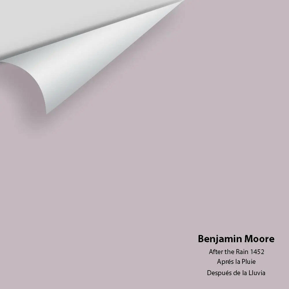 Benjamin Moore - After the Rain 1452 Colour Sample