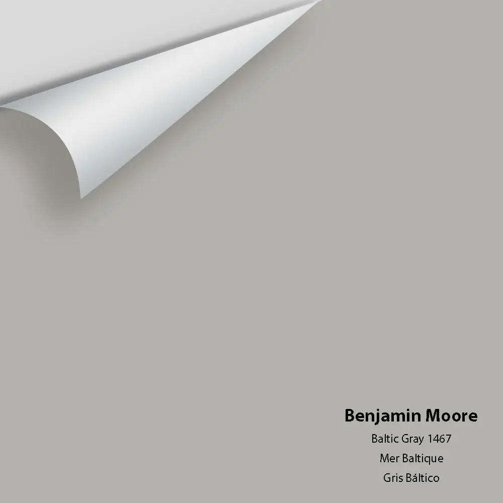 Big Paint Chip - Baltic Gray 1467 Colour Sample