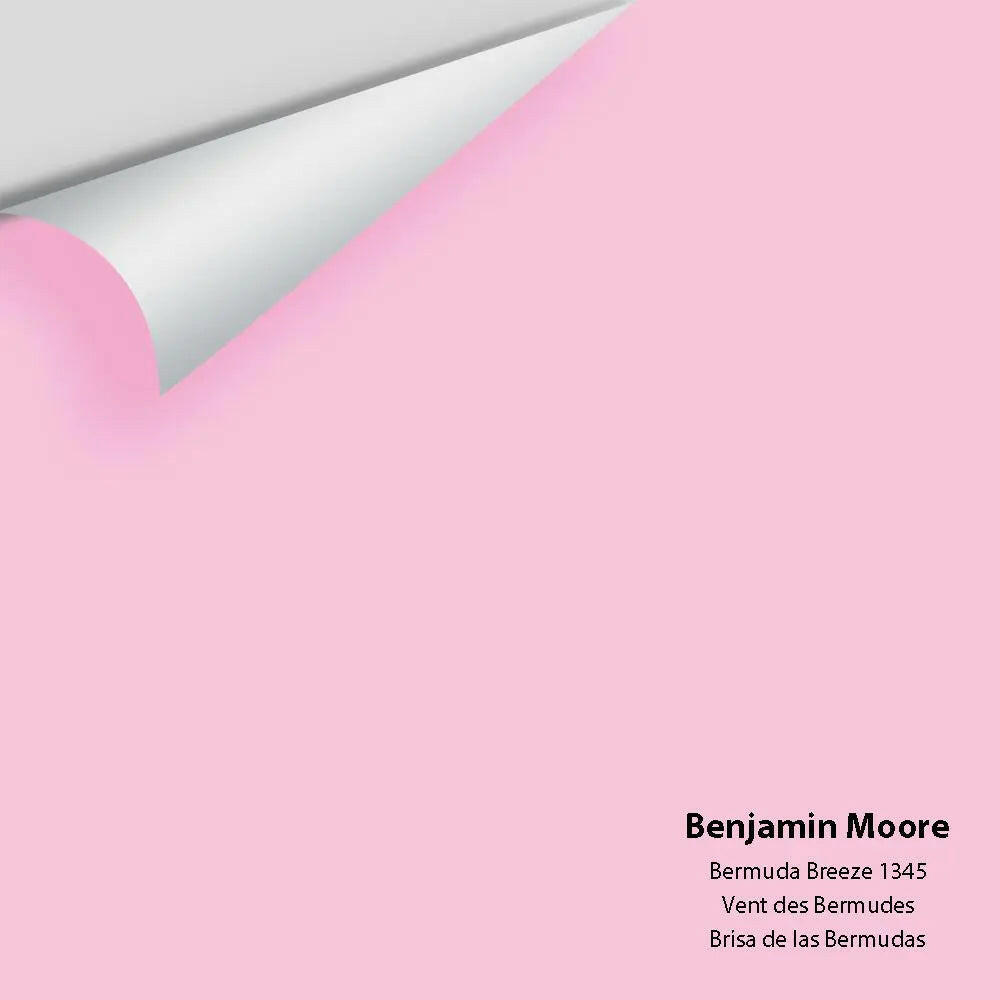 Big Paint Chip - Bermuda Breeze 1345