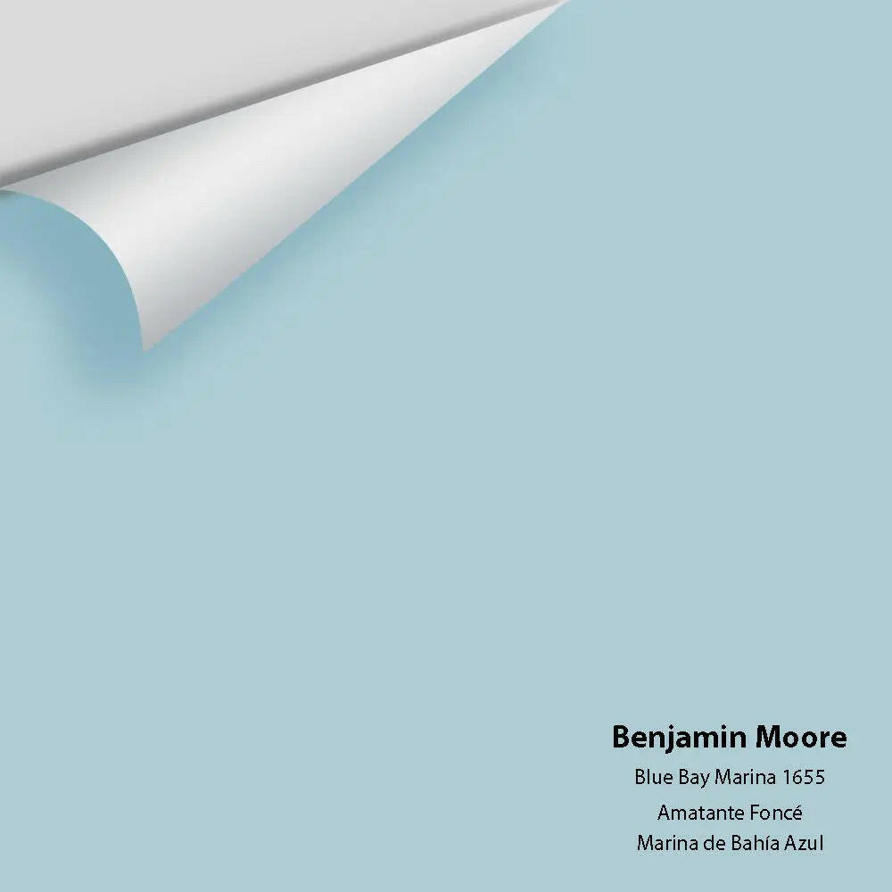 Big Paint Chip - Blue Bay Marina 1655