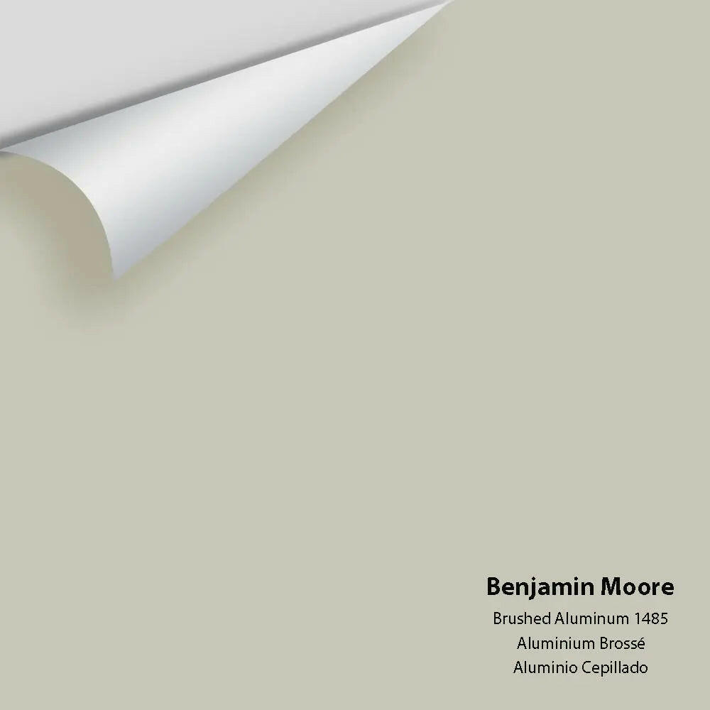 Big Paint Chip - Brushed Aluminum 1485