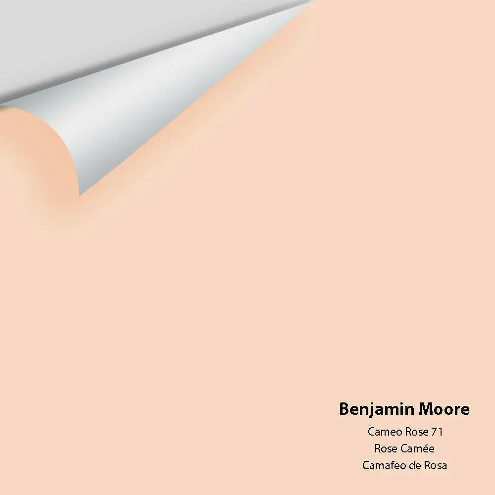 Big Paint Chip - Cameo Rose 71