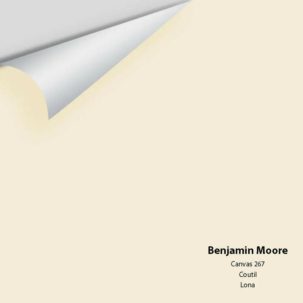 Big Paint Chip - Canvas 267