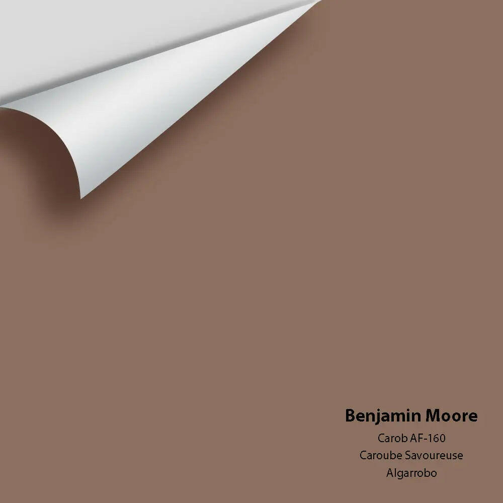 Big Paint Chip - Carob AF-160 Colour Sample