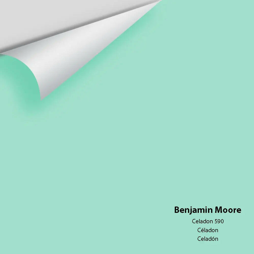 Big Paint Chip - Celadon 590