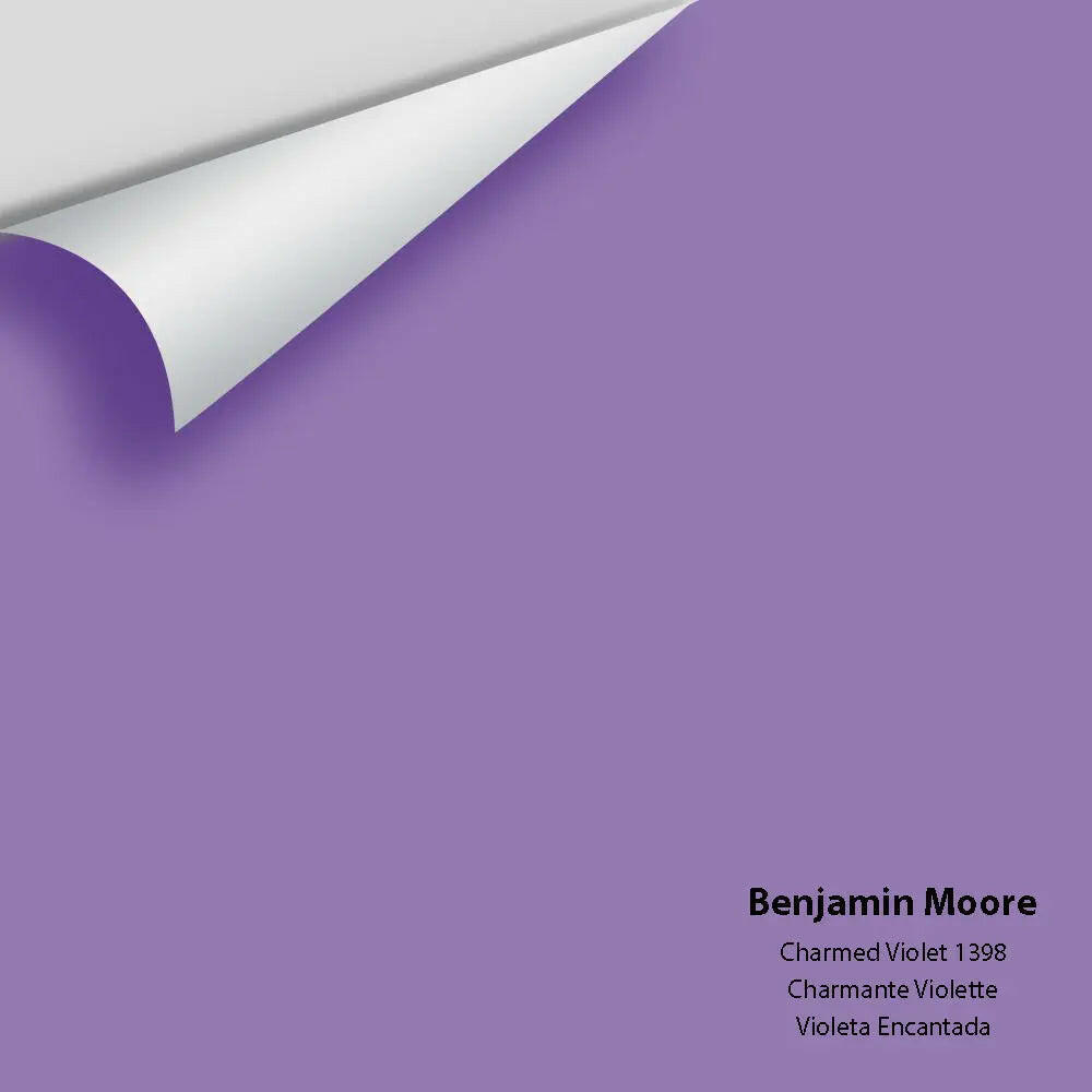 Big Paint Chip - Charmed Violet 1398