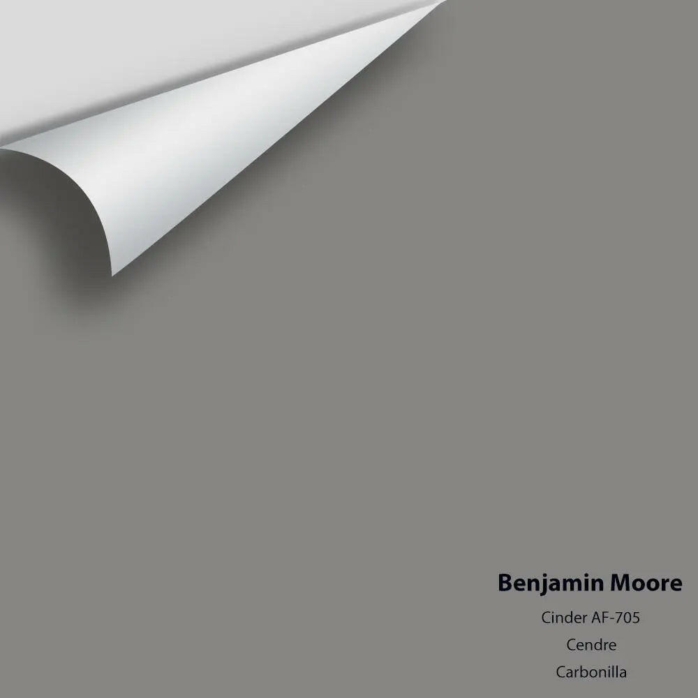 Benjamin Moore - Cinder AF-705 Colour Sample