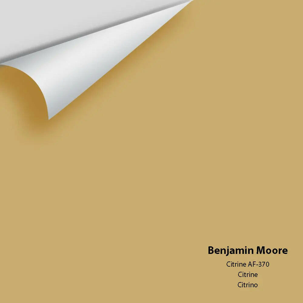 Big Paint Chip - Citrine AF-370