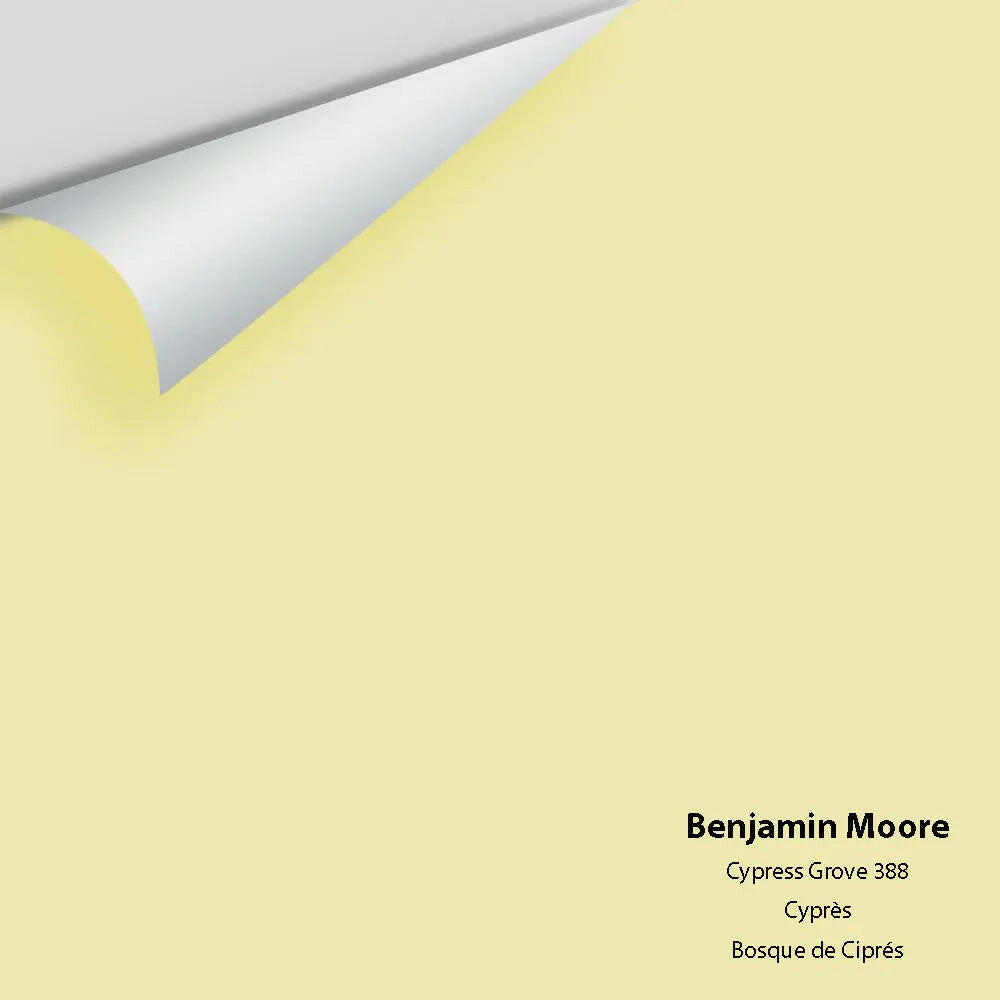 Big Paint Chip - Cypress Grove 388