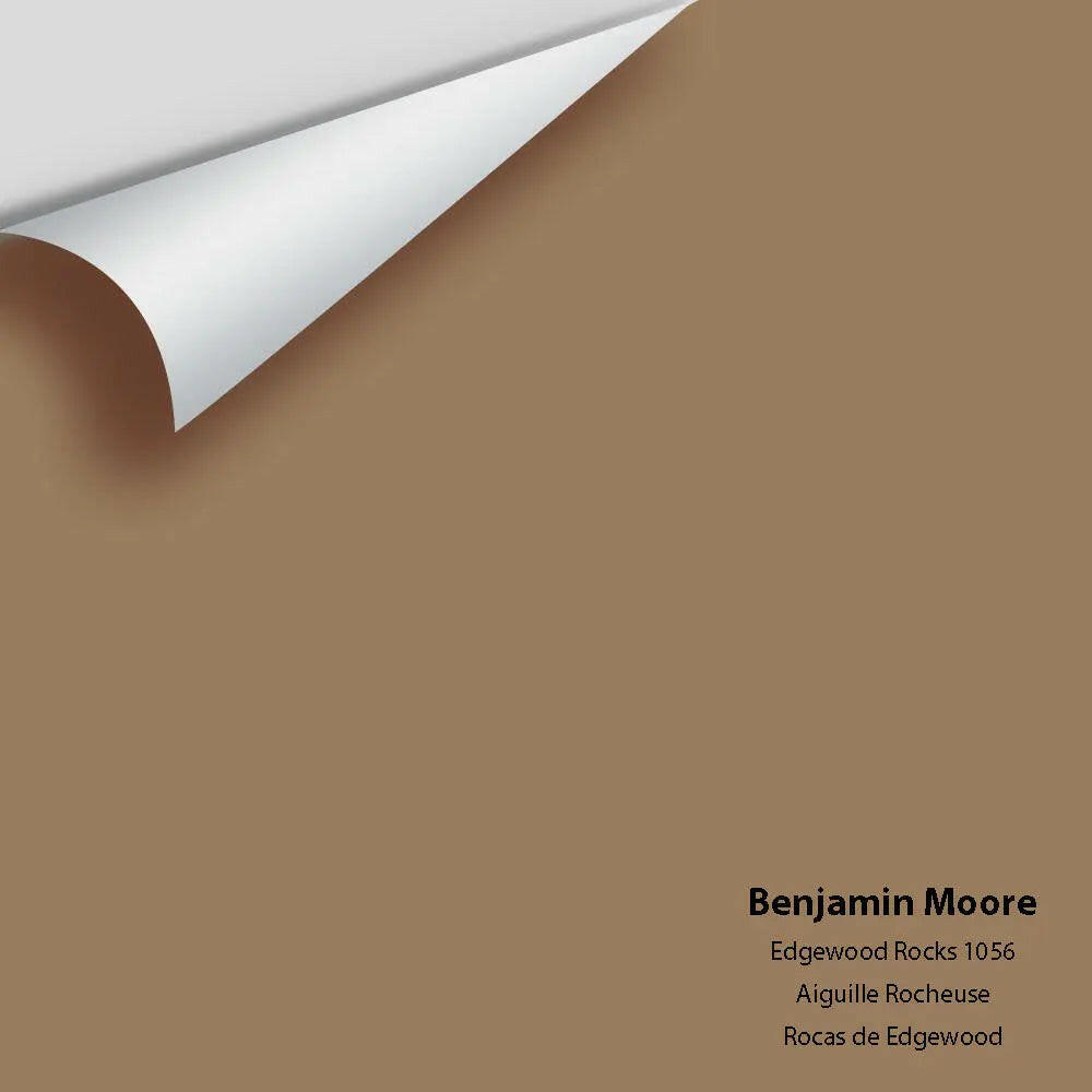 Big Paint Chip - Edgewood Rocks 1056